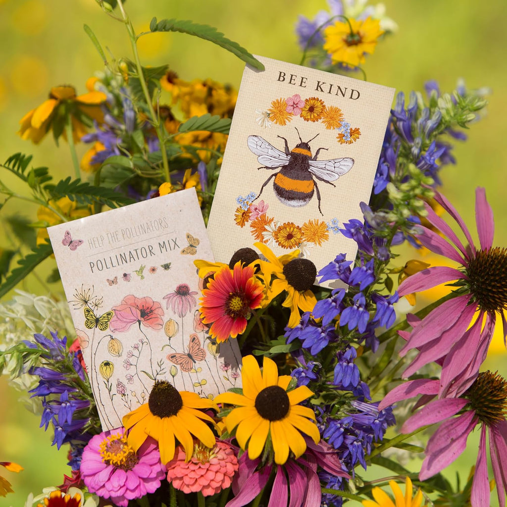 Bentley Pollinator Mix - Pre-Filled, Non-GMO, Non-Coated Butterfly Packets - 25 Annual Wildflower Seeds - Perfect