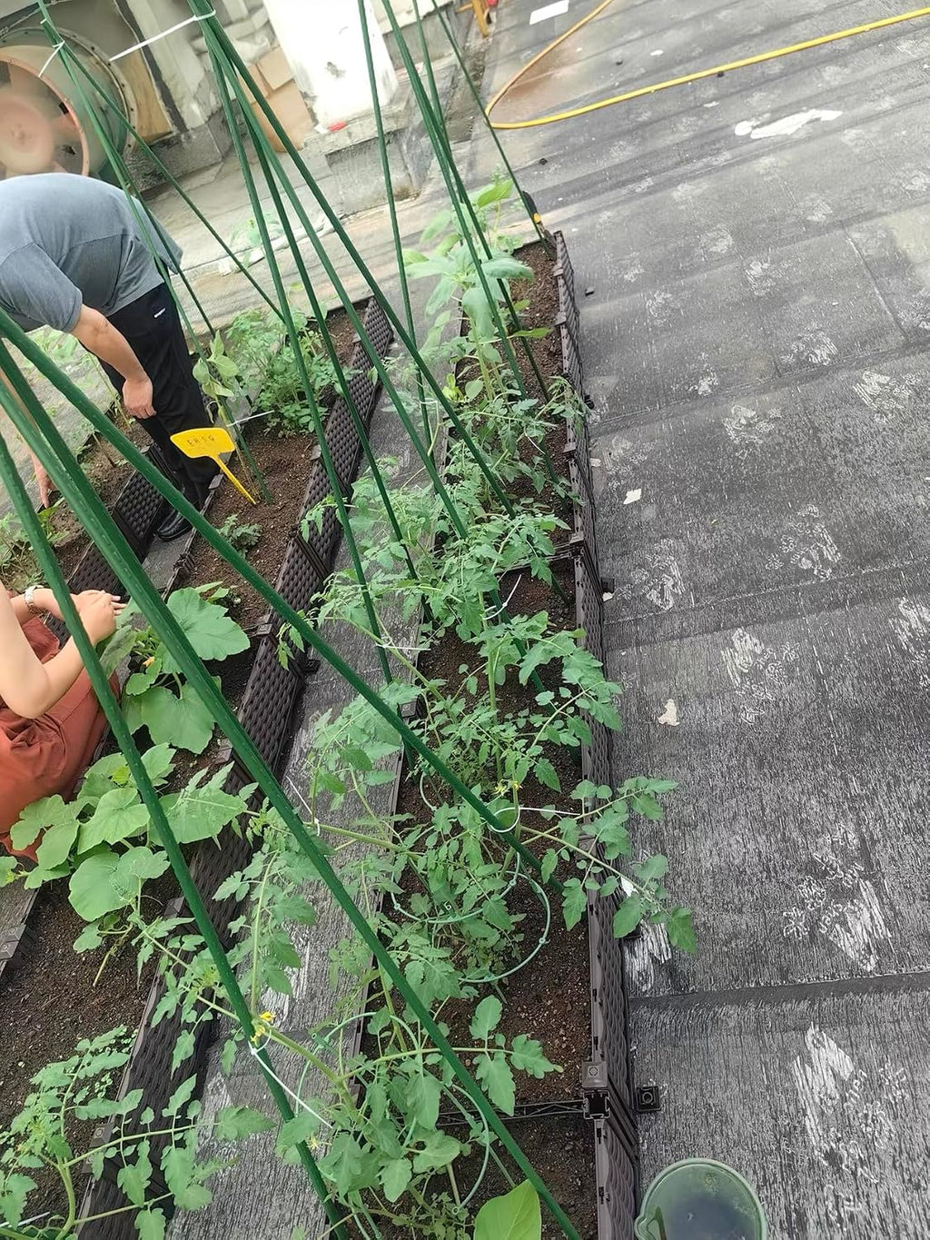 30" Sturdy Eggplant Supports Tomato Cage Plant Trellis Vegetable Stakes Plant Support Cages Planter Metal Inner Plant
