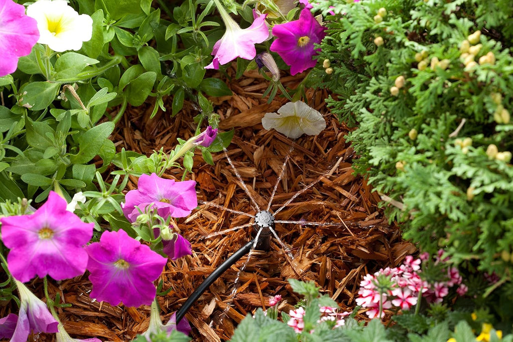 Rain Bird POTTEDKIT Drip Irrigation Kit, Full Circle, 1/4"