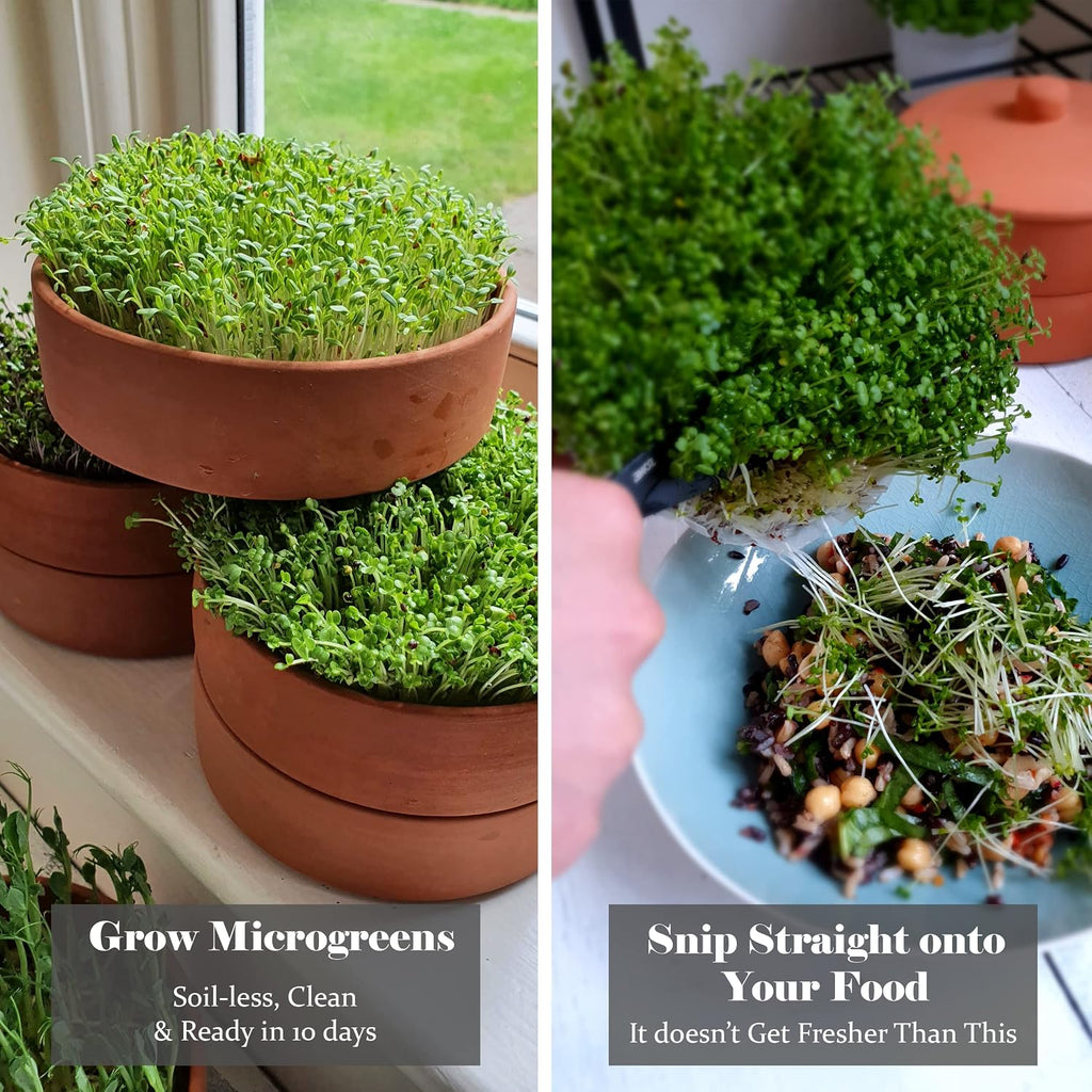 Clay Sprouter Kit | Terracotta Tower with 3 Shallow Germinating Trays, Paper Discs & Free E-Book | 2 in 1 Sprouting