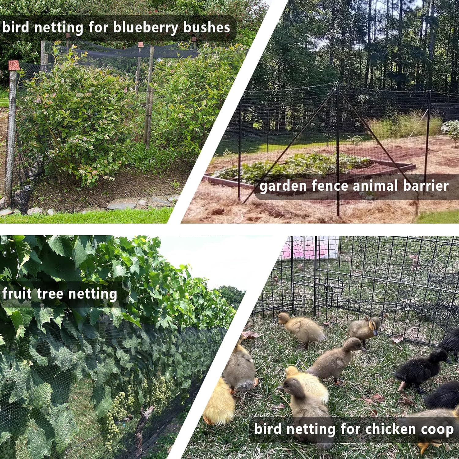 POYEE 10x30ft Bird Netting, 1/2-inch Square Mesh Garden Netting | Animal Barrier for Vegetables, Fruit Trees, Blueberry