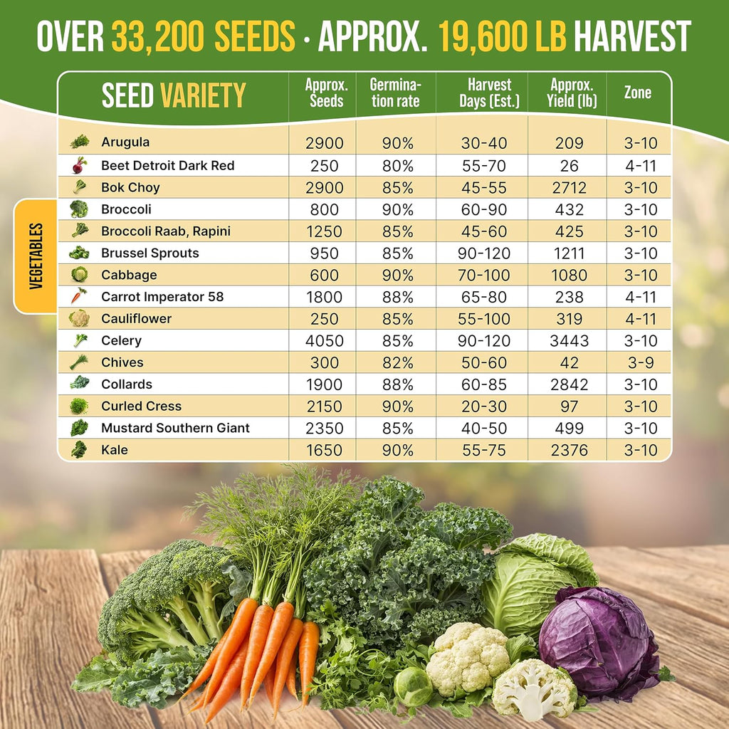 30 Most Popular Winter Vegetable Garden Seeds Variety Pack- Outdoors/Indoor 33,200+ Non-GMO Heirloom Veggie Seeds