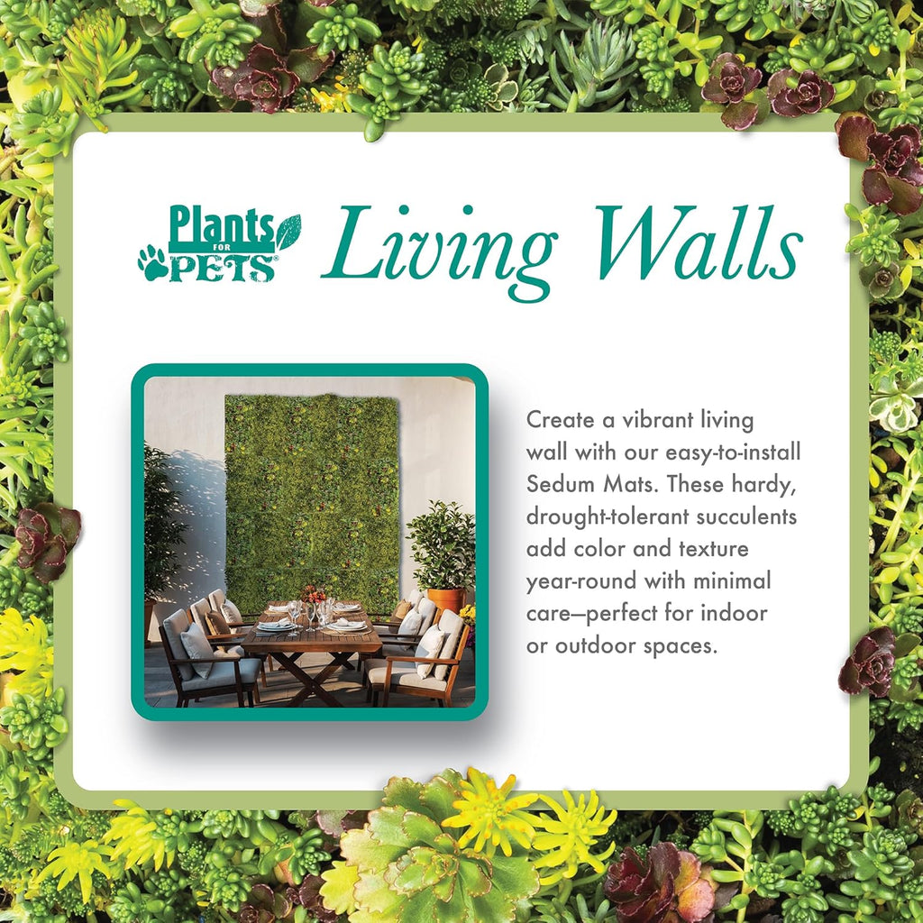 10 in. x 20 in. Sedum Groundcover Mat, Non-toxic Hardy Stonecrop for Landscaping, Live Succulents, Pet Friendly Plants