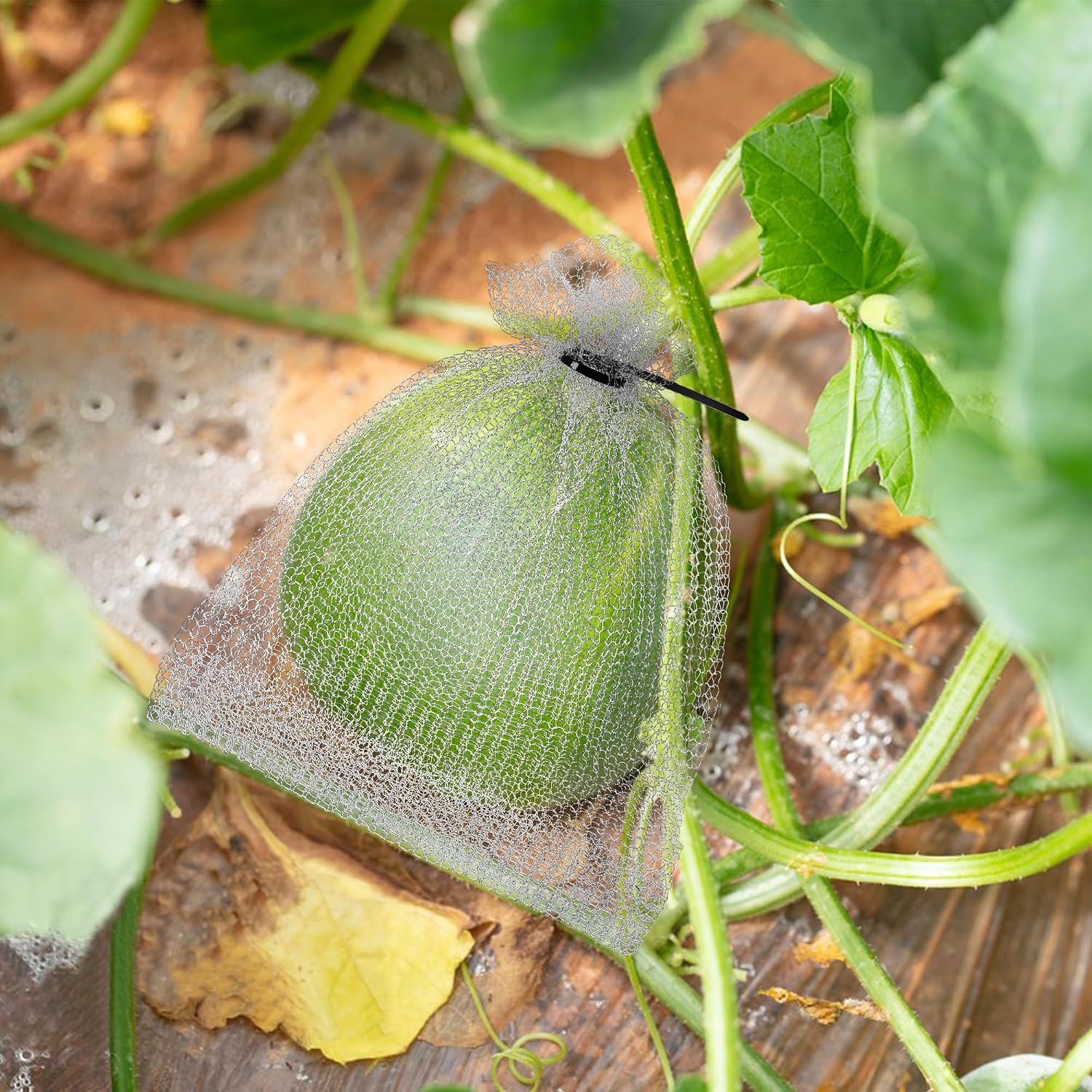 20Pcs 8x12 & 6x8 Inch Stainless Steel Fruit Protection Bag, Wire Cover Bag | 2 Sizes Reusable Vegetable Barrier Wire