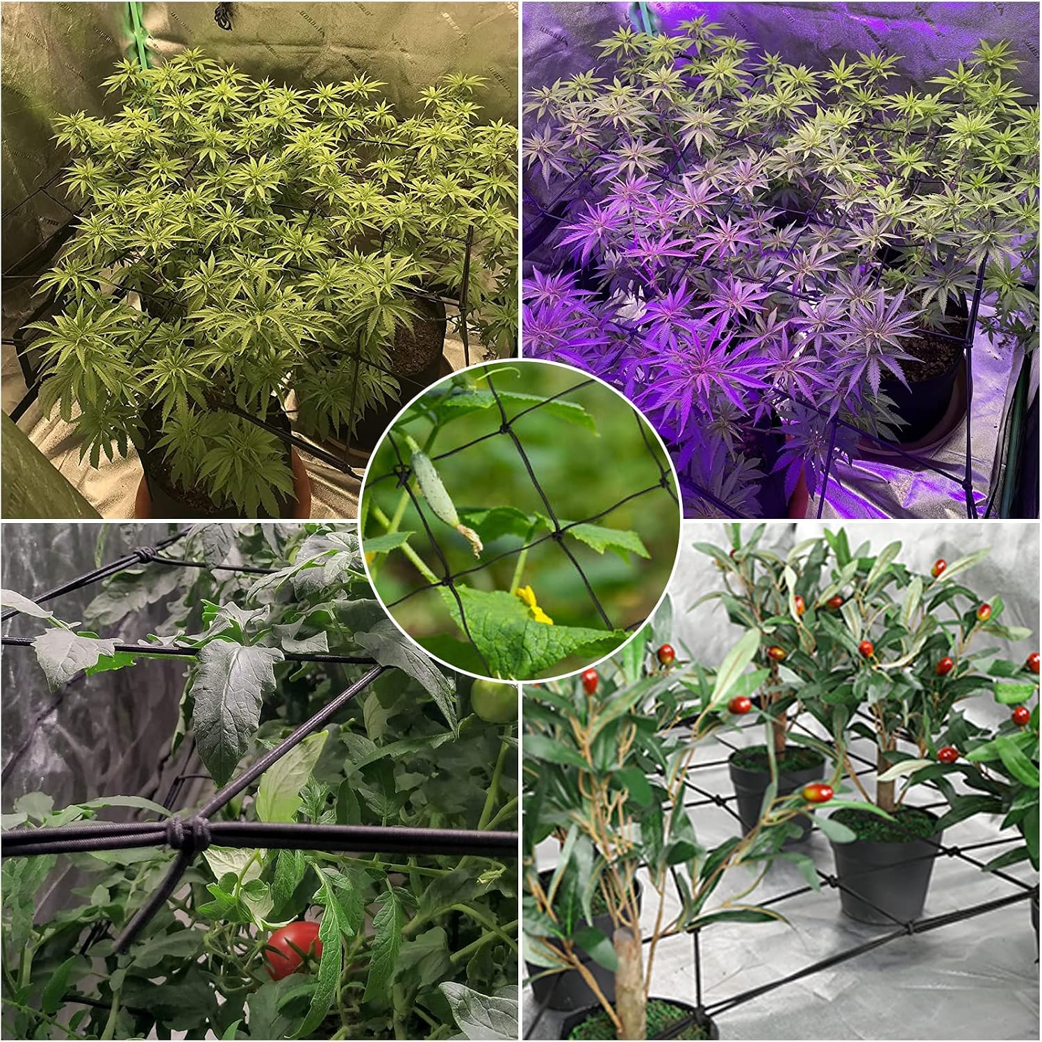 4PCS Grow Tent Net, Flexible Net Trellis Fits 4x4ft and More Size, Stretchy Trellis Netting with Hooks for Garden