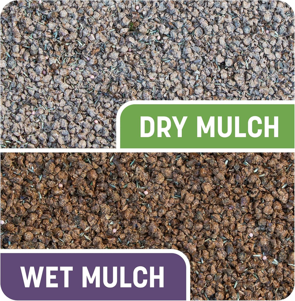 Pennington Smart Patch Dense Shade Grass Seed 10 LB, Bare Spot Repair with Mulch and Fertilizer