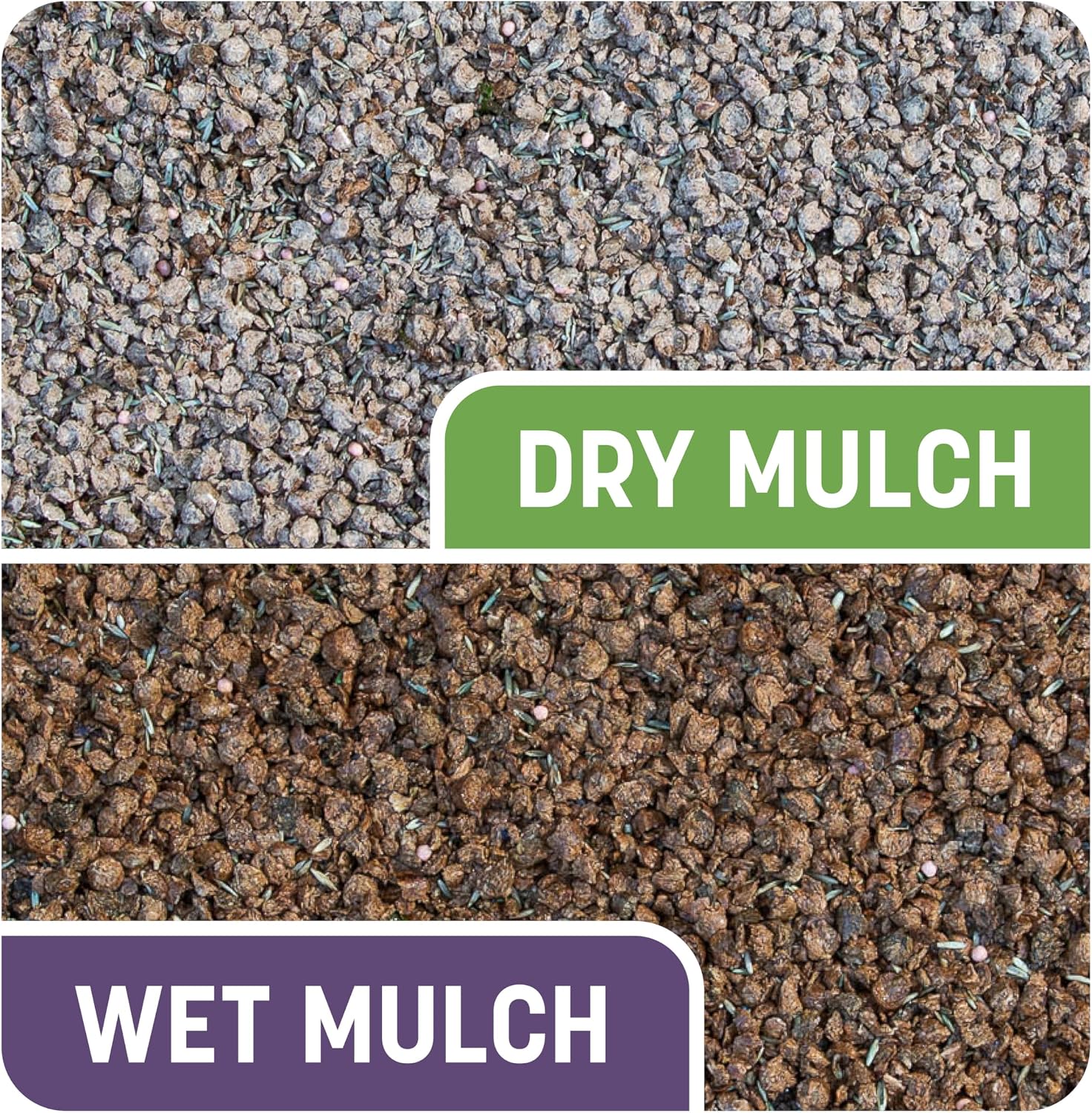 Pennington Smart Patch Dense Shade Grass Seed 5 LB