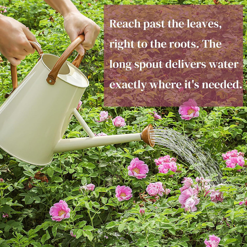 Metal Watering Can with Removable Spout, 1.5 Gallon Large Watering Cans for Plants, Galvanized Steel Gardening Water