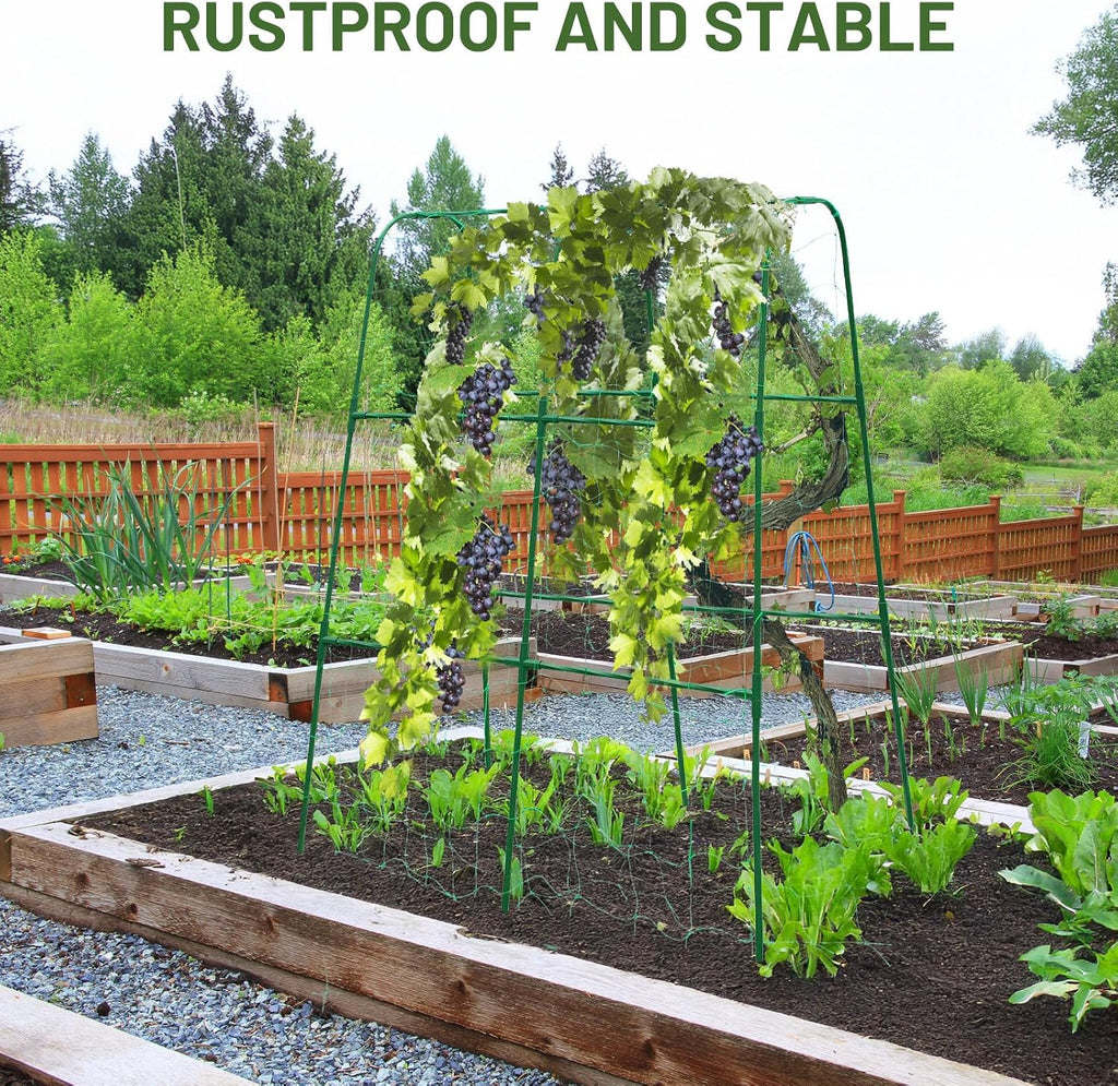 Compact U-Shaped Plant Trellis for Peas, Beans & Light Climbing Plants - Rust-Resistant, Foldable Design, Lightweight