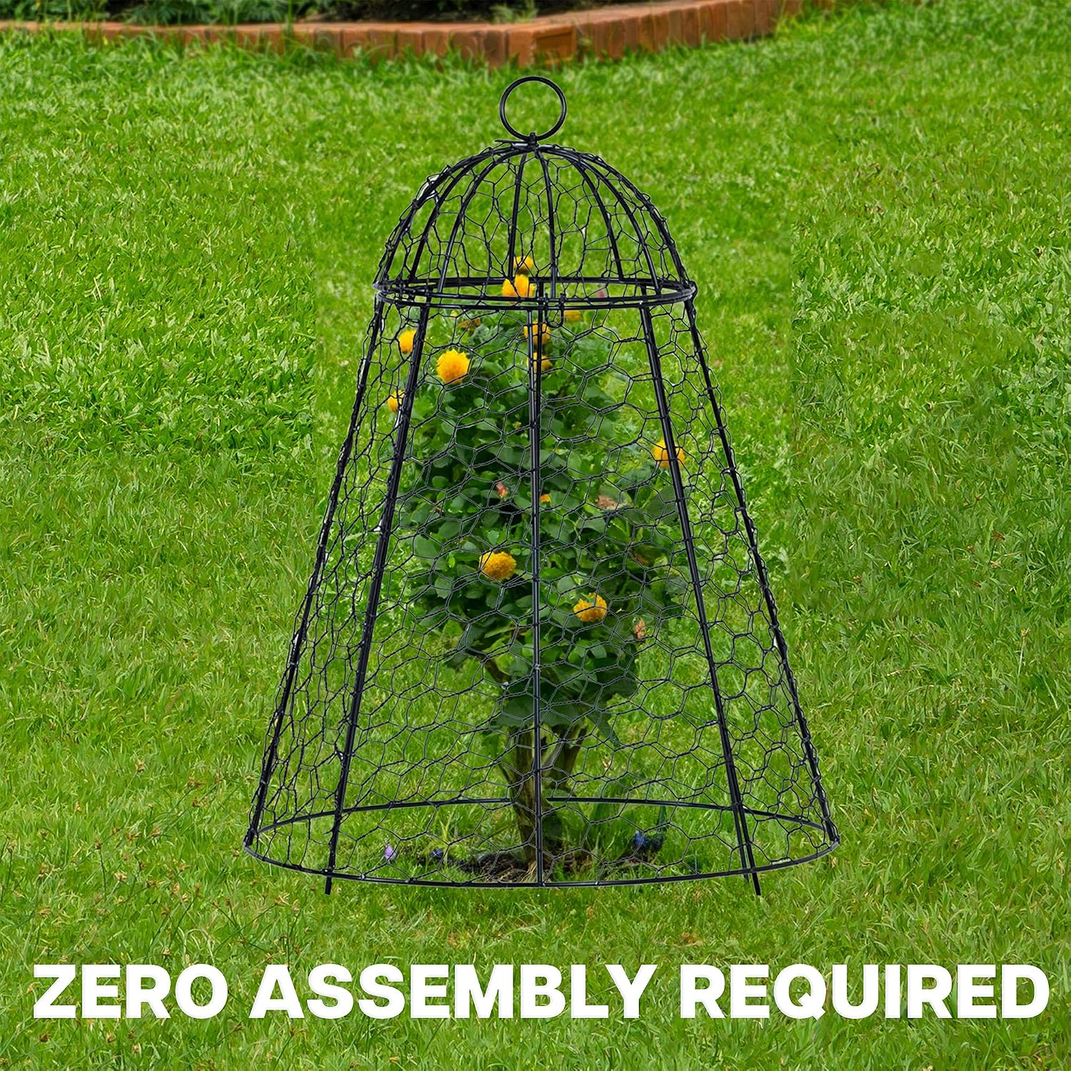 Chicken Wire Garden Cloche Set, Protective Plant Cover for Flowers and Produce with Removable Top, Protection from