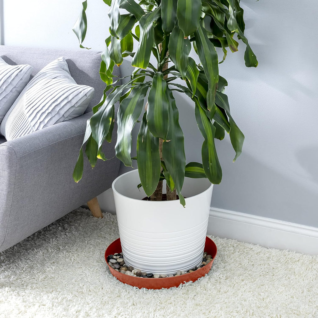 18 Inch (16.3 Inch Base) Case of 2 Plant Saucer | Polypropylene, Heavy Duty Indoor/Outdoor, Drip Pan & Tray, Collects