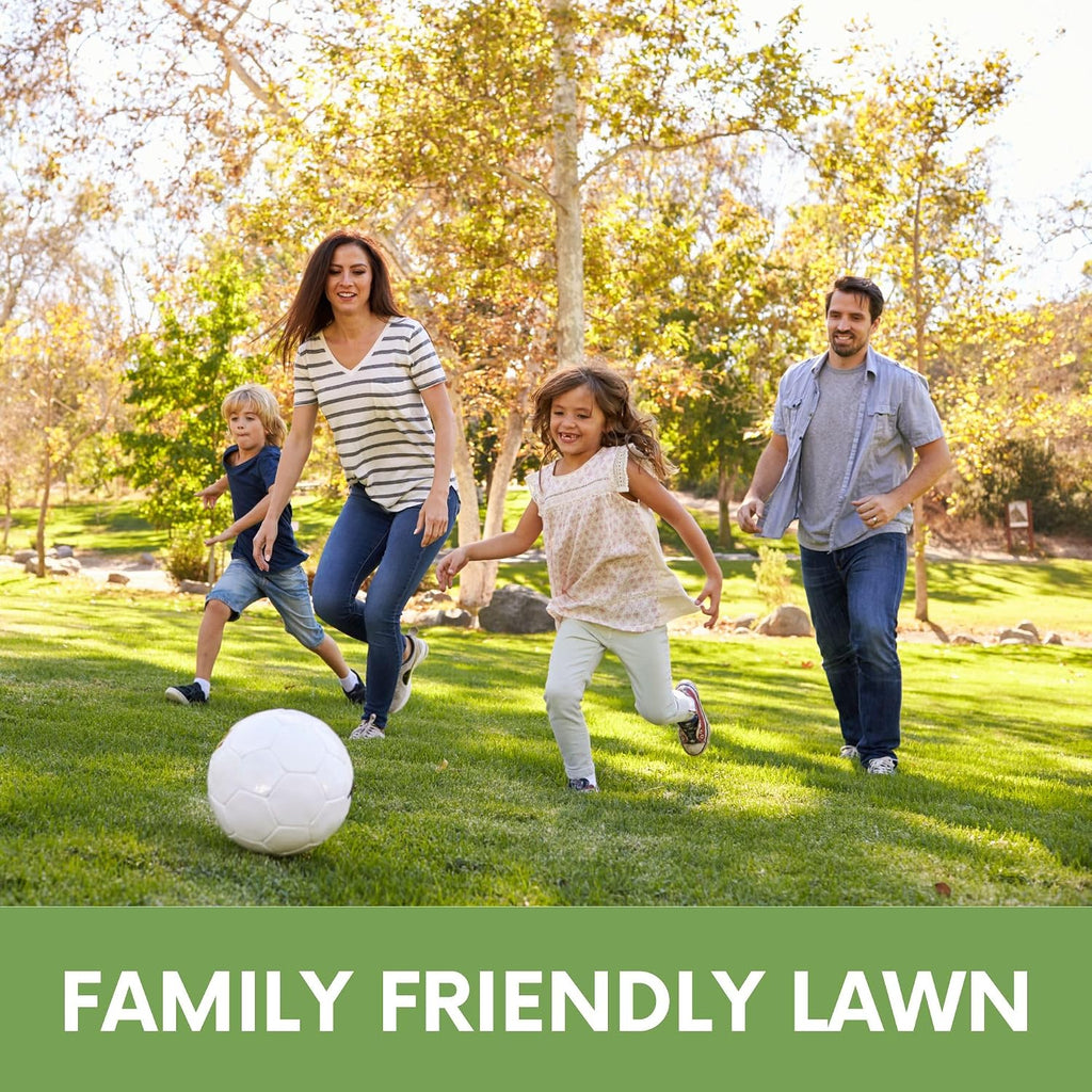 Ruff and Tuff Mow Less Fescue Grass Seed, 1 Lb, Low Maintenance, Family Friendly, Drought Tolerant, Covers up to 500 sq