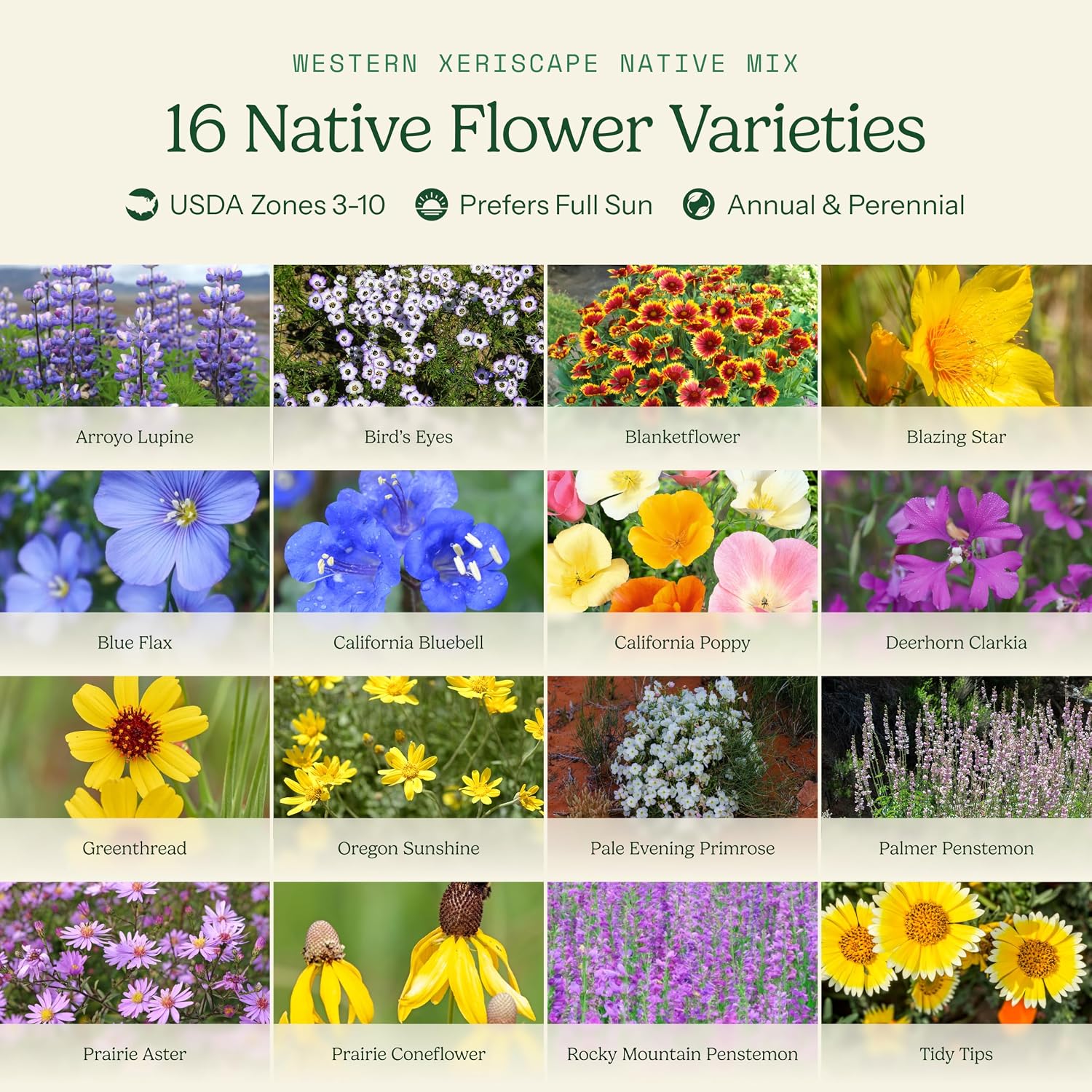 Eden Brothers Native Western Xeriscape Flower Seed Mix, 1/4lb,16 Drought Tolerant Wild Flower Seed Varieties,100% Pure