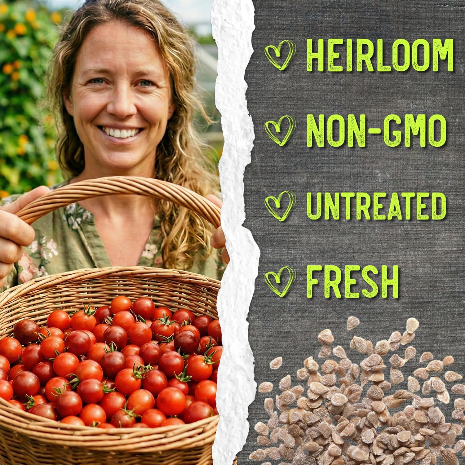Seed Needs Tiny Tim Dwarf Tomato Seeds to Plant Heirloom Non-GMO 10 Pack