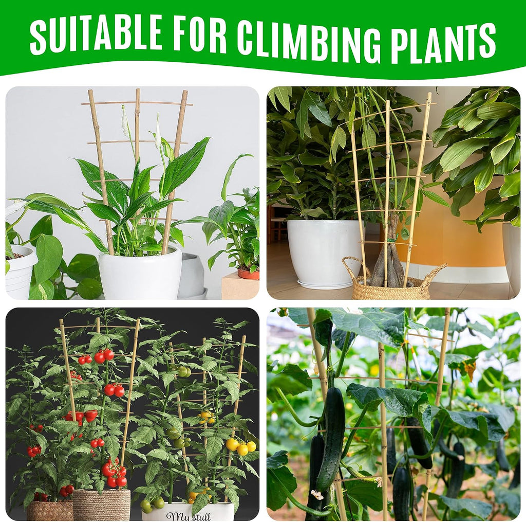 SWANGSA 6 Pack Bamboo Trellis 24 Inches for Climbing Plants, Fan-Shaped Bamboo Plant Trellis Cucumber Tomato Trellis