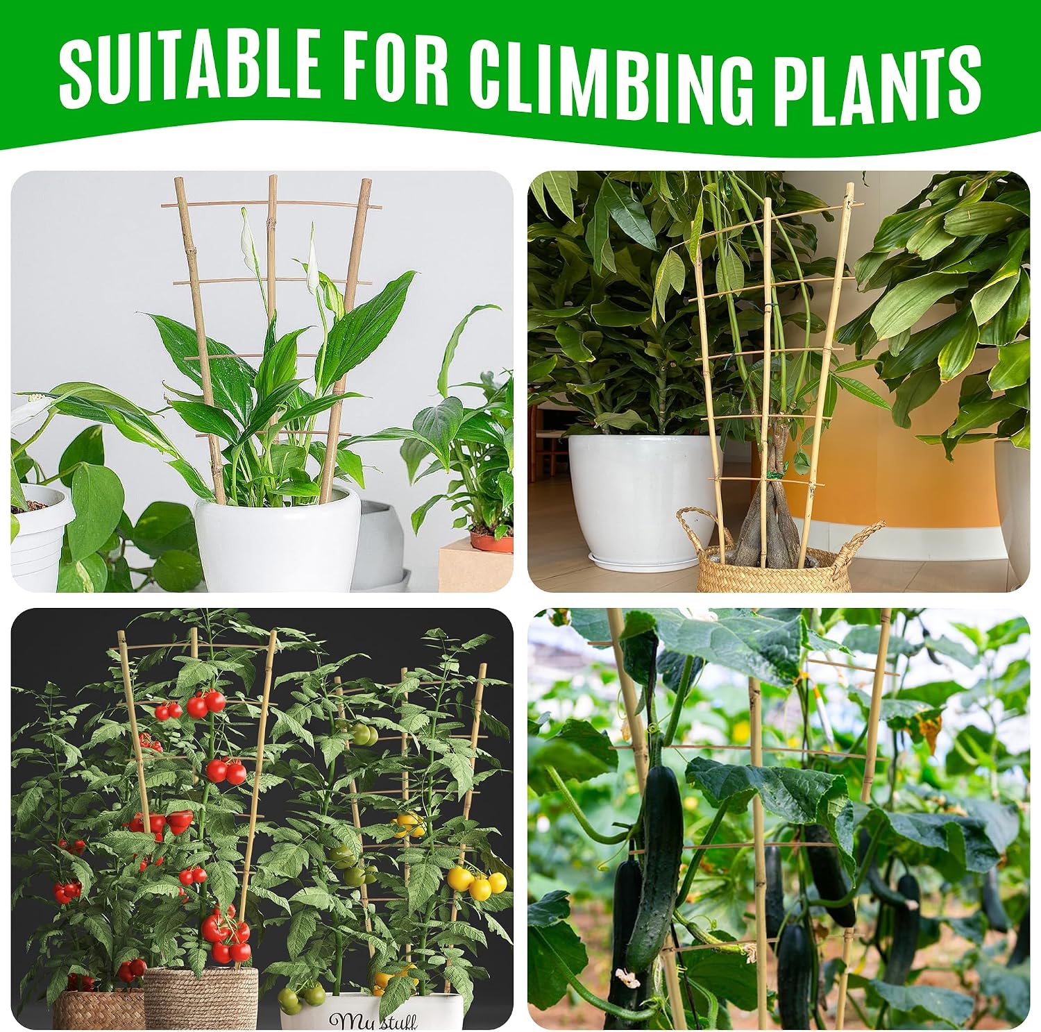 SWANGSA 6 Pack Bamboo Trellis 24 Inches for Climbing Plants, Fan-Shaped Bamboo Plant Trellis Cucumber Tomato Trellis