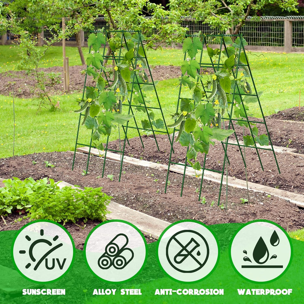 No Assembly Required Cucumber Trellis,2 Pack Trellis for Cucumbers,Outdoor Raised Bed Climbing Plant Support,A-Frame