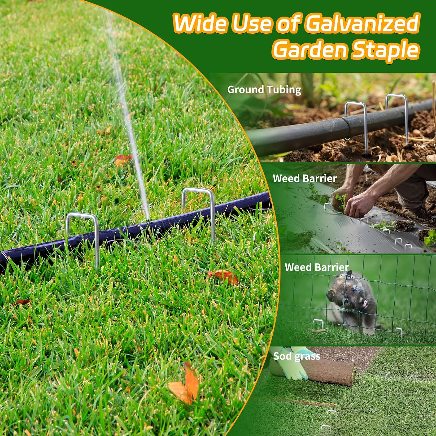 6 Inch Galvanized Landscape Staples, 200 Pack 10 Gauge Garden Stakes Plant, Hot-dip U-Shaped Tent Stakes Cover Stakes