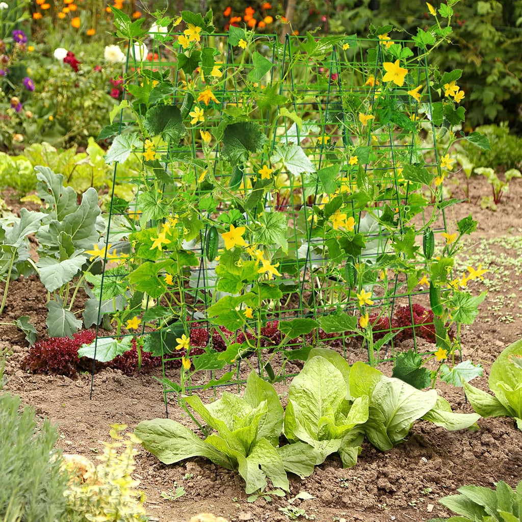 Pack 2 Heavy Metal Garden Trellis for Climbing Plants with Trellis Netting & Garden Clips, A-Frame Cucumber Trellis for