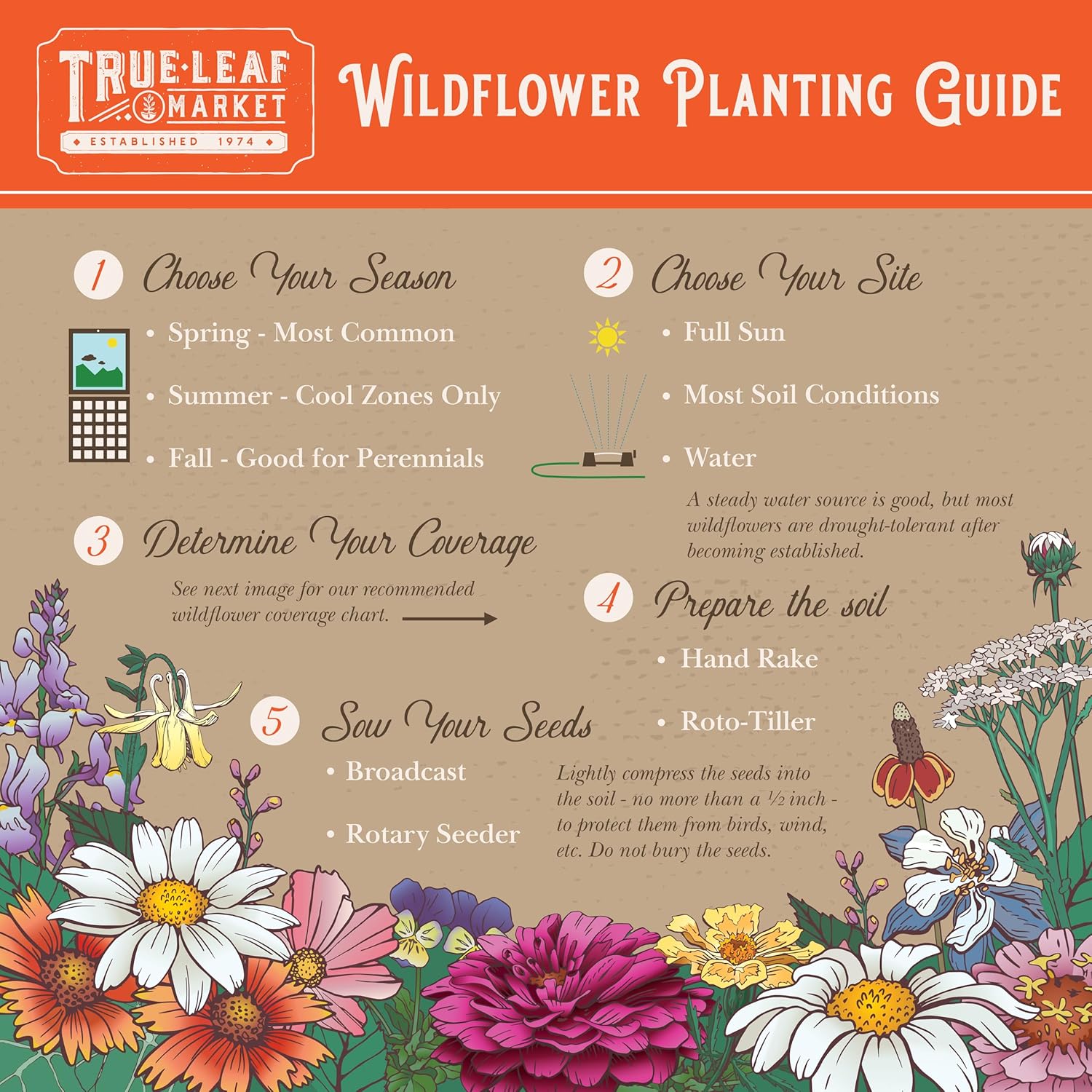 Mountain Valley Seed Co All Annual Wildflower Mix Seeds for Planting 4 Oz | ~4,000+ Seeds - Bulk Wildflower Seed - 21