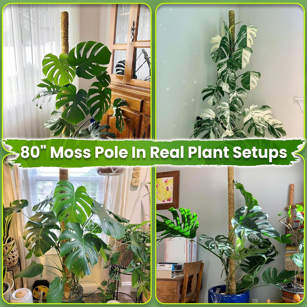80" Large Stackable Moss Pole for Plants Monstera, (1pc., 80'') | Forest Moss Surface, Plant Stakes for Indoor Plants