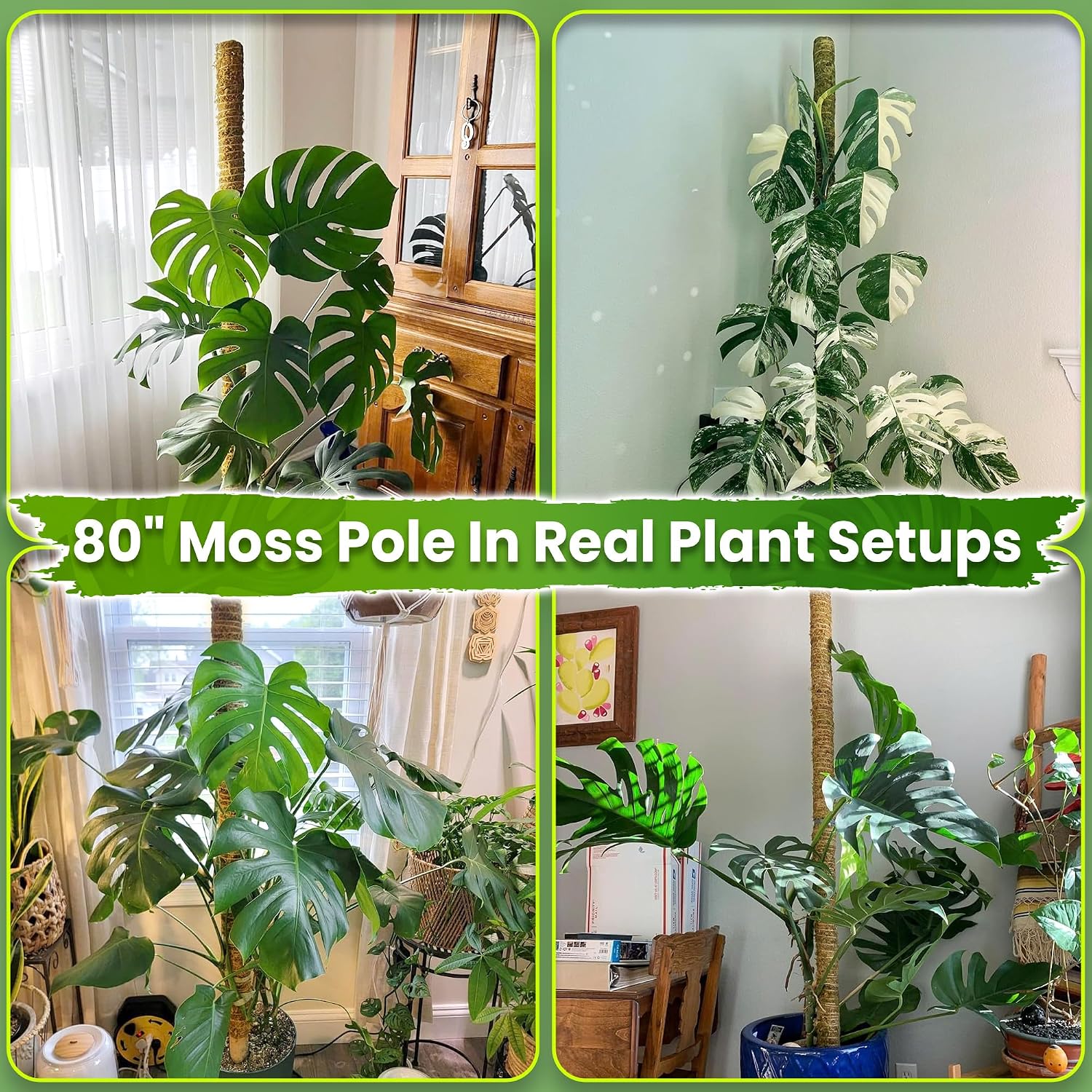 80" Large Stackable Moss Pole for Plants Monstera, (1pc., 80'') | Forest Moss Surface, Plant Stakes for Indoor Plants