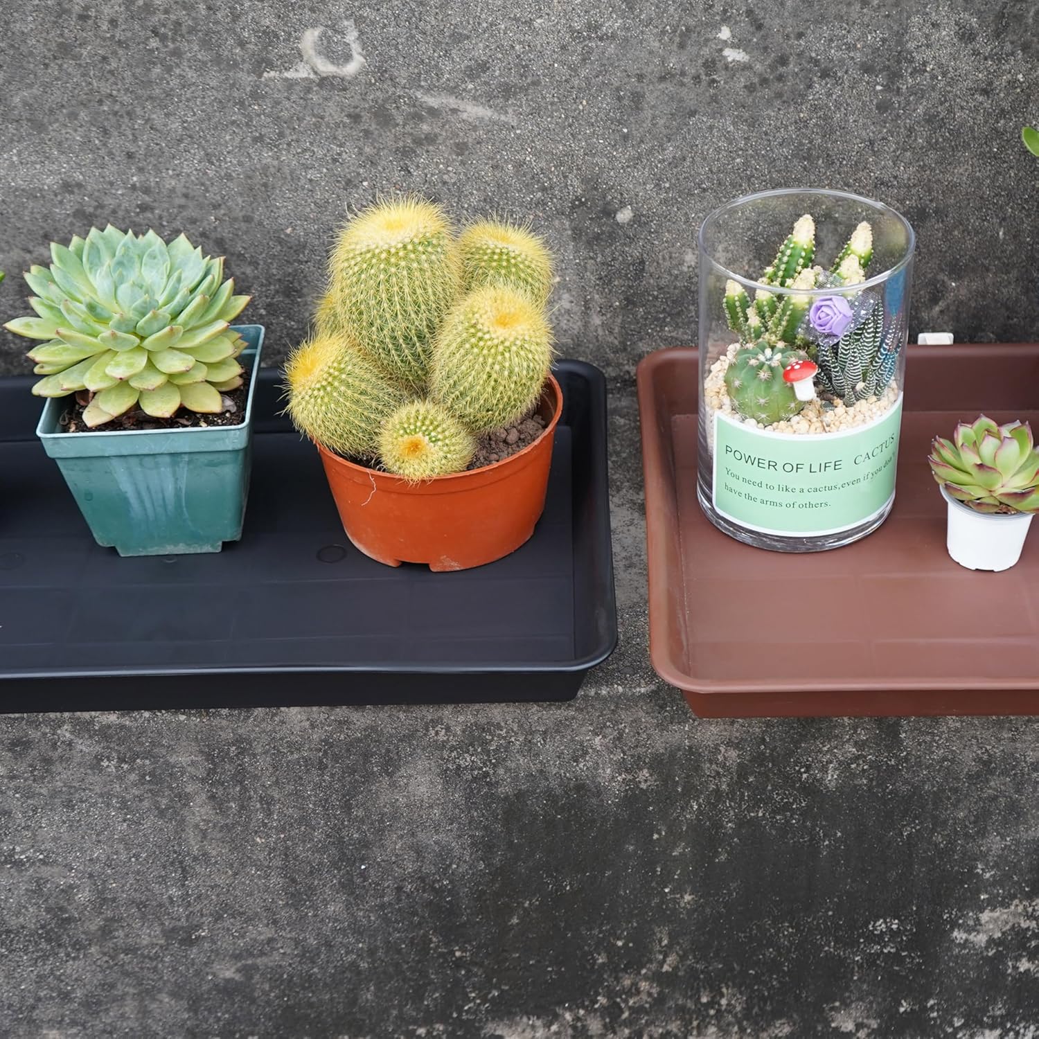 VUWEZ 2 Pack Plant Saucer Tray Rectangular, Plant Growing Nursery Trays, Heavy Sturdy Seed Starting Trays, Plants