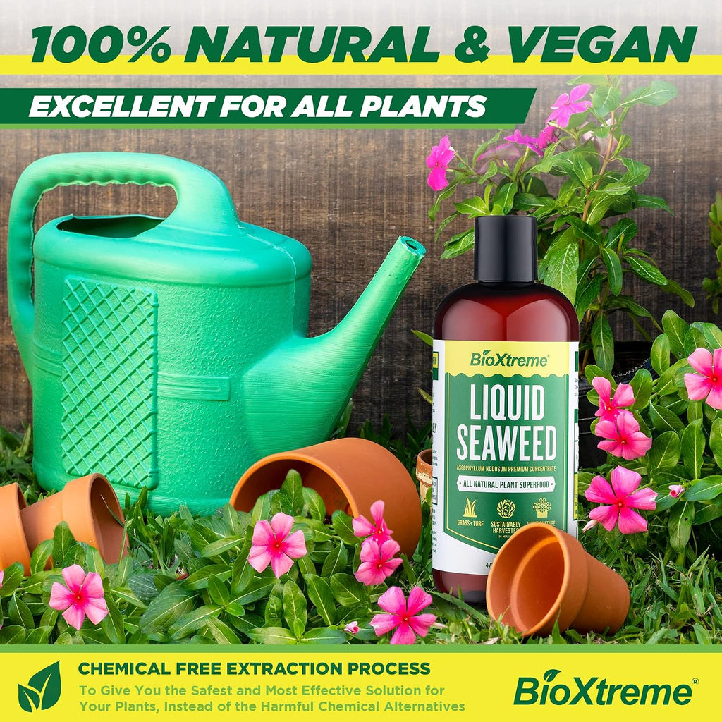 Liquid Seaweed Premium Concentrate – Undiluted Kelp Extract with No Fillers or Colorants – All Natural Fertilizer for