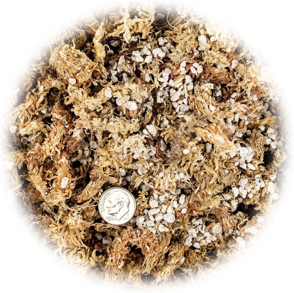 Sphagnum Moss Potting Mix for Carnivorous Plants, Moss and Perlite Blend for Potting Venus Fly Traps, Sarracenia