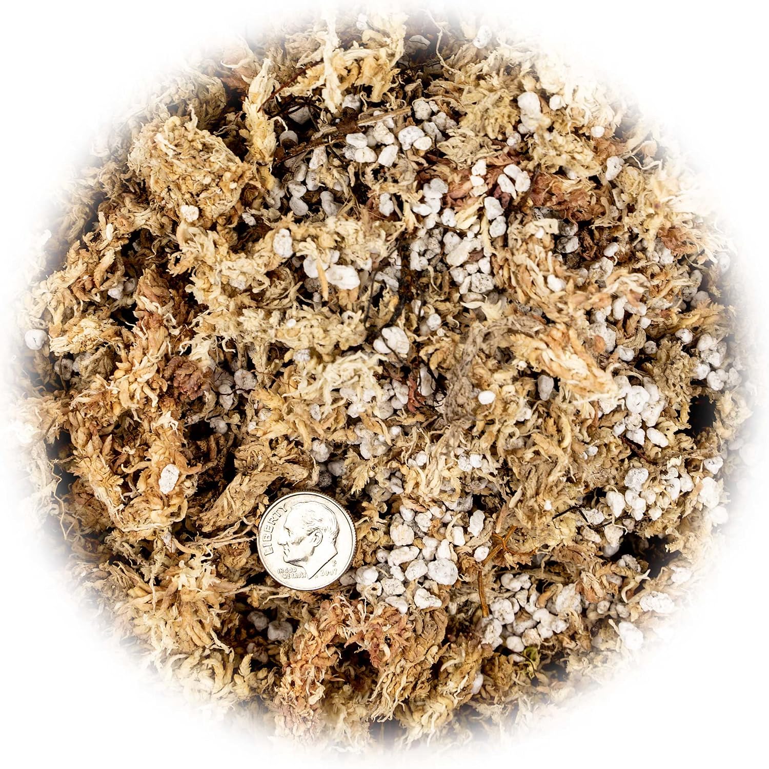 Sphagnum Moss Potting Mix for Carnivorous Plants, Moss and Perlite Blend for Potting Venus Fly Traps, Sarracenia