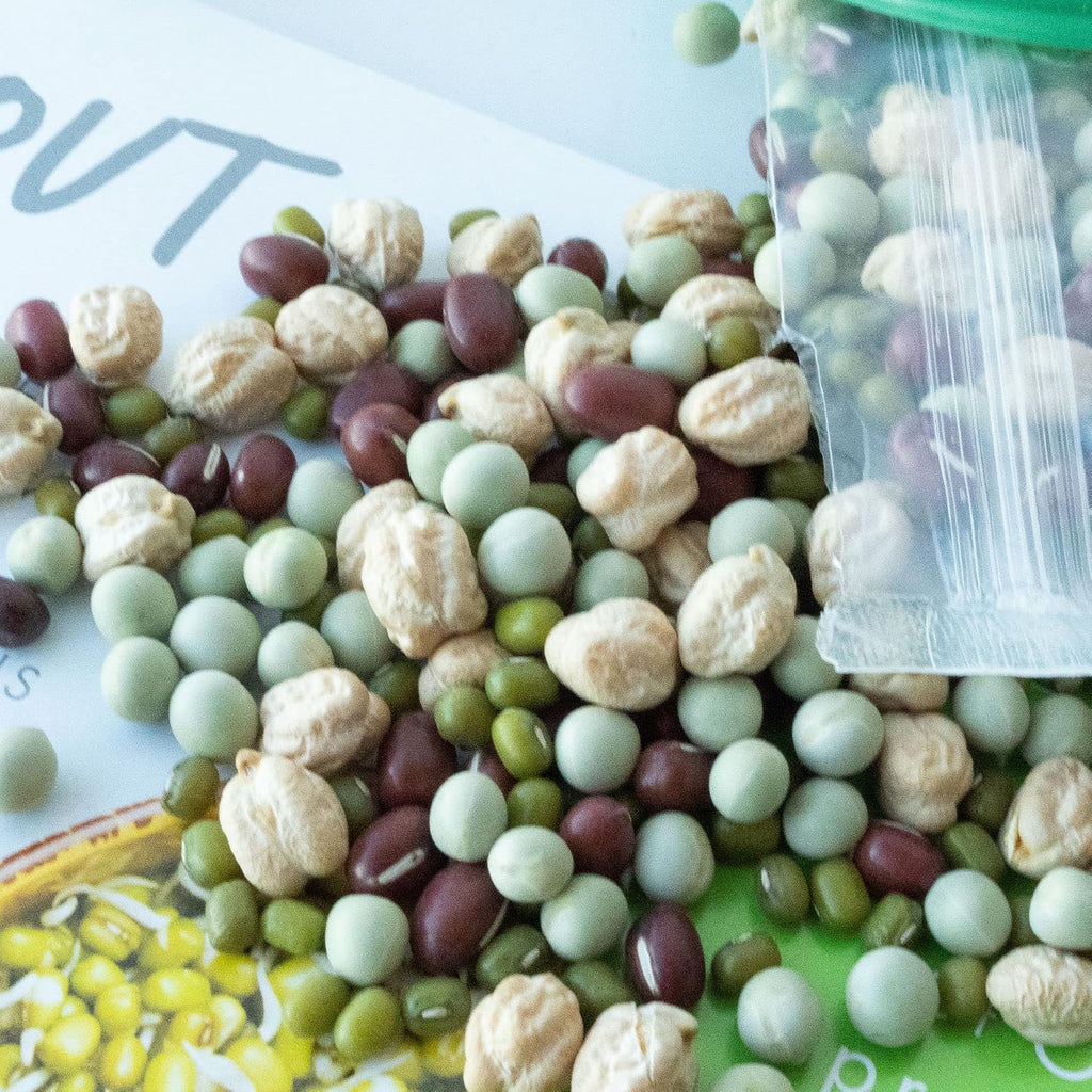 Handy Pantry Complete Sprouting Jar Lid Kit with Seeds Includes Wide Mouth | Half Gallon Mason Jar, BPA Free Sprouting