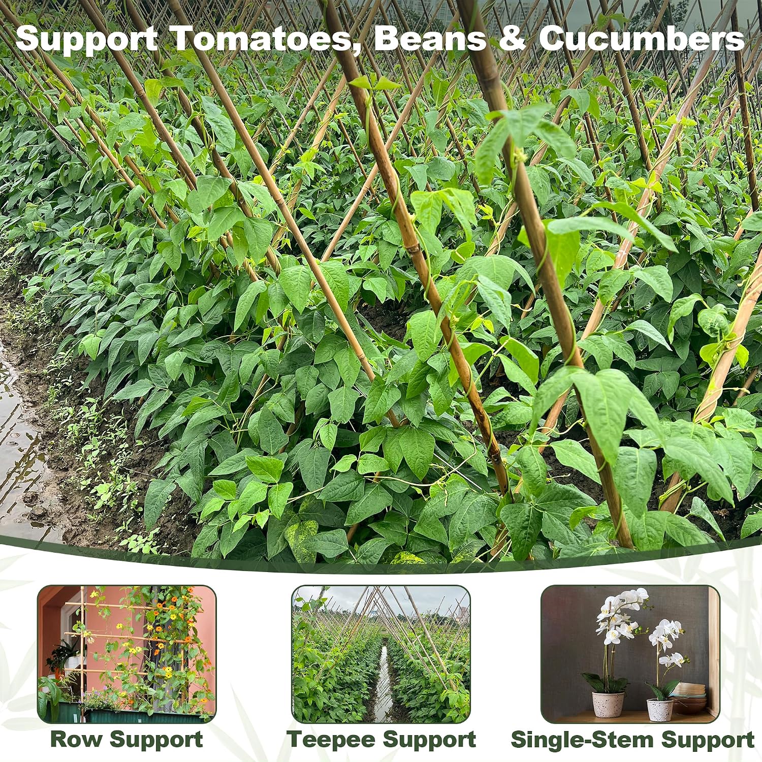 Natural Bamboo Poles, 4 Feet Bamboo Sticks for Plants, Wood Garden Stakes for Tomato, Bean, Flowers, Trees Potted and