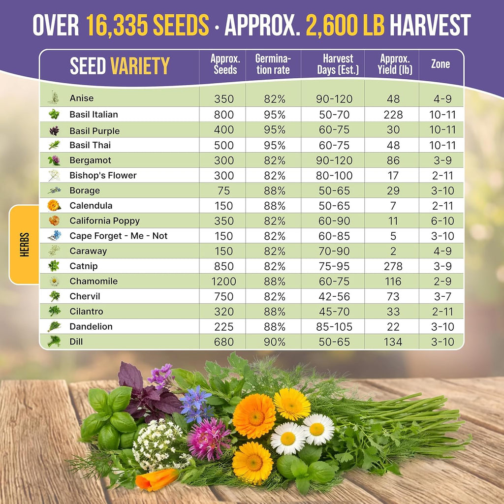 35 Medicinal & Tea Herb Seeds Variety Pack for Indoor & Outdoors. 16,335+ Non-GMO Heirloom Garden Seeds: Anise