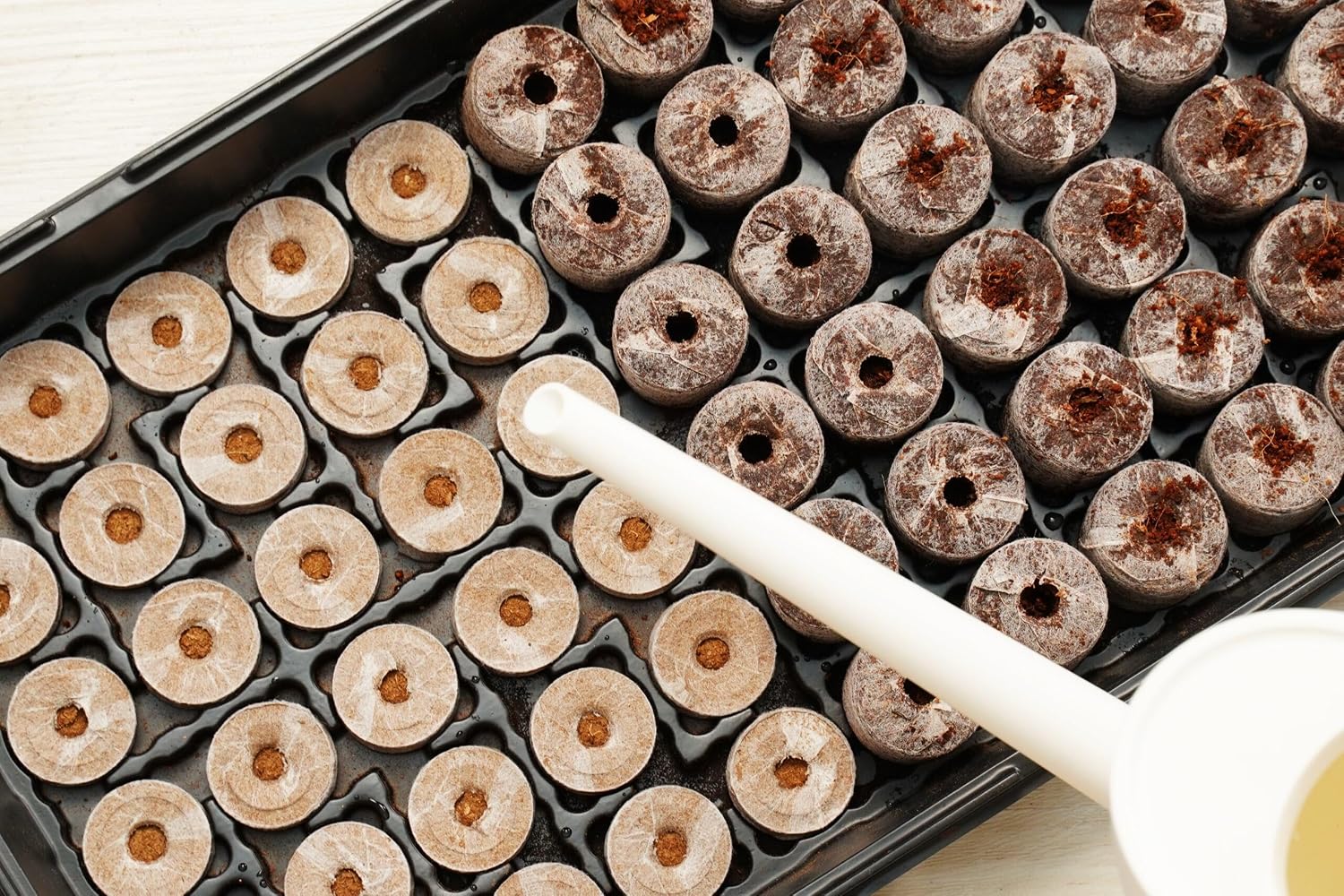 PlantBest 72 Coconut Coir Pellet Seed Starting Greenhouse Kit – 35mm Peat-Free Pellets, All-in-One Seed Starter Tray