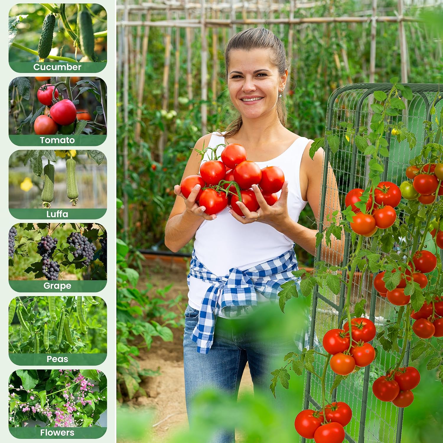 Cucumber Trellis for Raised Bed, 63" Heavy Duty U-Shape Garden Trellis for Climbing Plants Outdoor, Rustproof Plastic