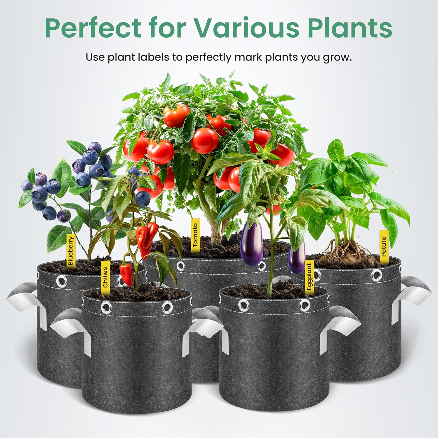 InfiniPower 5 Pack 7 Gallon Plant Grow Bags, 400G Thick Nonwoven Fabric Pots with Multi-Purpose Rings and Handles