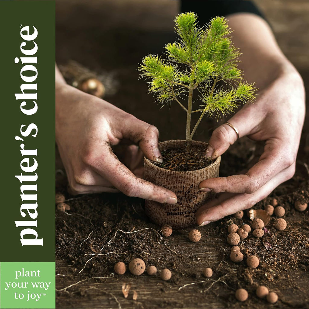 Bonsai Tree Kit for Beginners & Plant Lovers - Grow Your Own Bonsai | 4 Species Starter Kit with Burlap Pots, Shears