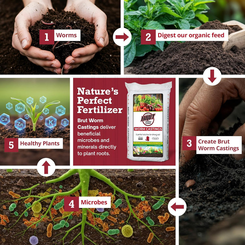 Brut Worm Farms Organic Worm Castings, Natural Fertilizer for Plants, 30 lb | Mineral-Rich Potting Mix Additive & Plant