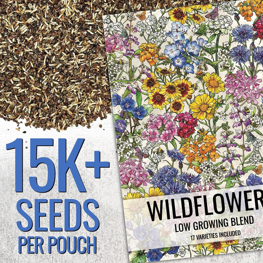 Seed Needs Low Growing Wildflower Seed Mix 5 Bulk Packs (1 Ounce Each)