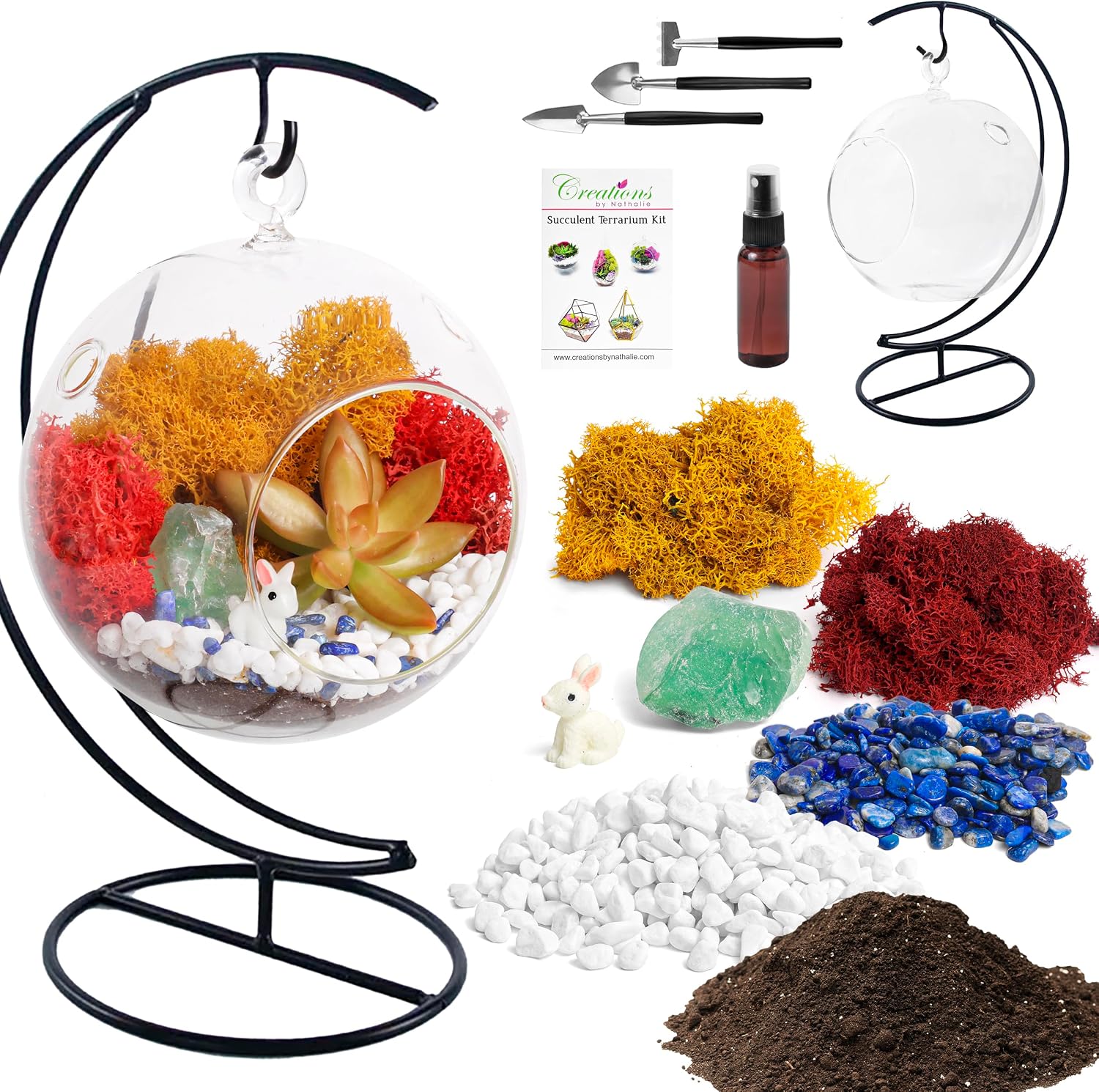 Creations by Nathalie DIY 5" DIY Globe Terrarium Kit - Build Your Own Glass Terrarium for Adults & Teens with Moss