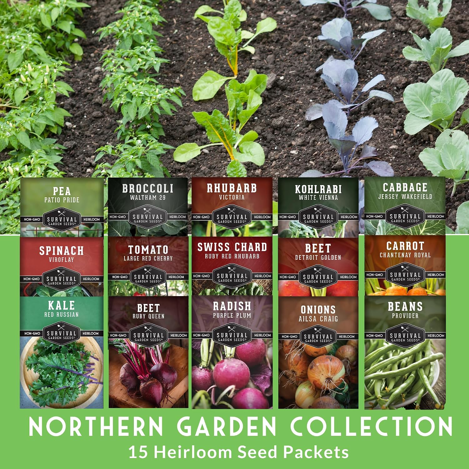 Northern Vegetable Seeds Collection for Planting | 15 Cold Hardy Heirloom Varieties, Frost-Tolerant for Cool Climates &