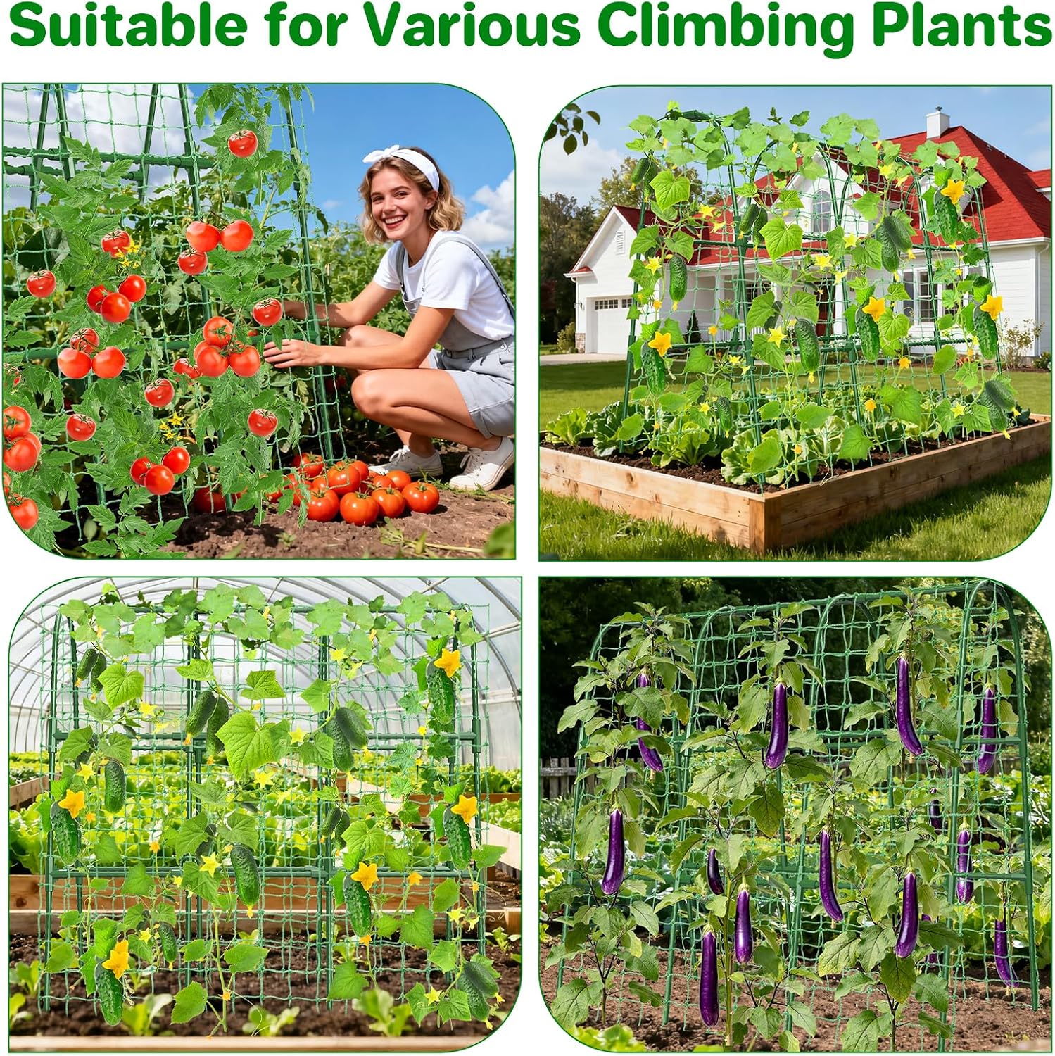 Cucumber Trellis for Raised Bed, U-Shape Garden Trellis for Climbing Plants Outdoor, Metal Arch Trellis for Vegetables