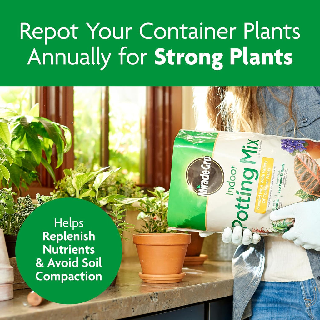Gro Indoor Potting Mix, Blended for a Variety of Houseplants, Feeds for up to 6 Months, 6 qt., 3-Pack