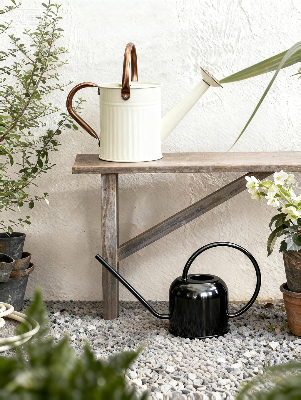 Bamworld Metal Watering Can for Indoor Outdoor Plant 1/2 Gallon Creamy | plant watering cans with Removable Spout