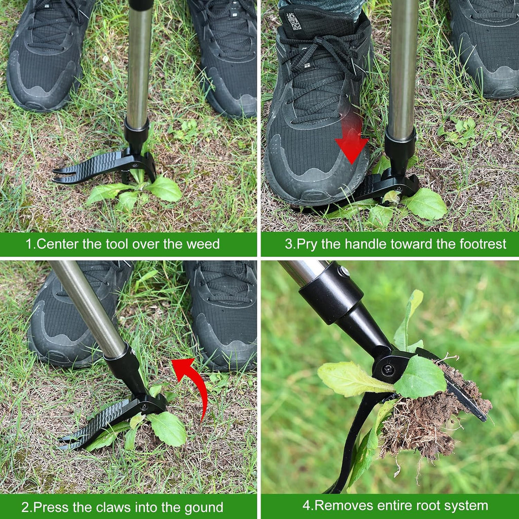Weed Puller Tool, Lightweight, 4-Claw Stand Up Weeder Tool with Adjustable Handle for Remove Weeds Without Bending or