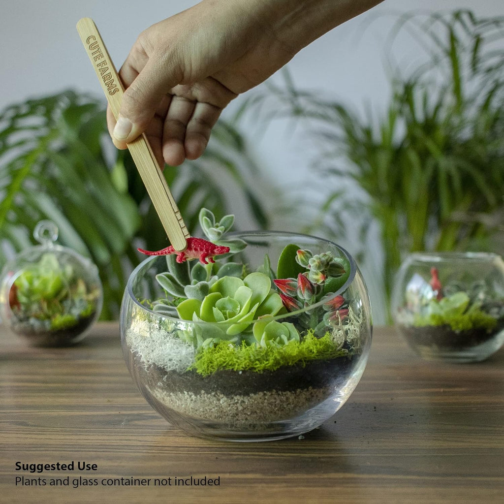 Terrarium Starter Kit | Moss, Vermiculite, Soil, Pebbles, Plant Food, Finishing Tools, Build and Care Guide | DIY
