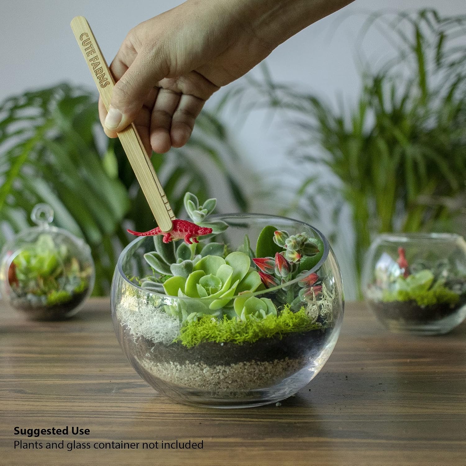 Terrarium Starter Kit | Moss, Vermiculite, Soil, Pebbles, Plant Food, Finishing Tools, Build and Care Guide | DIY