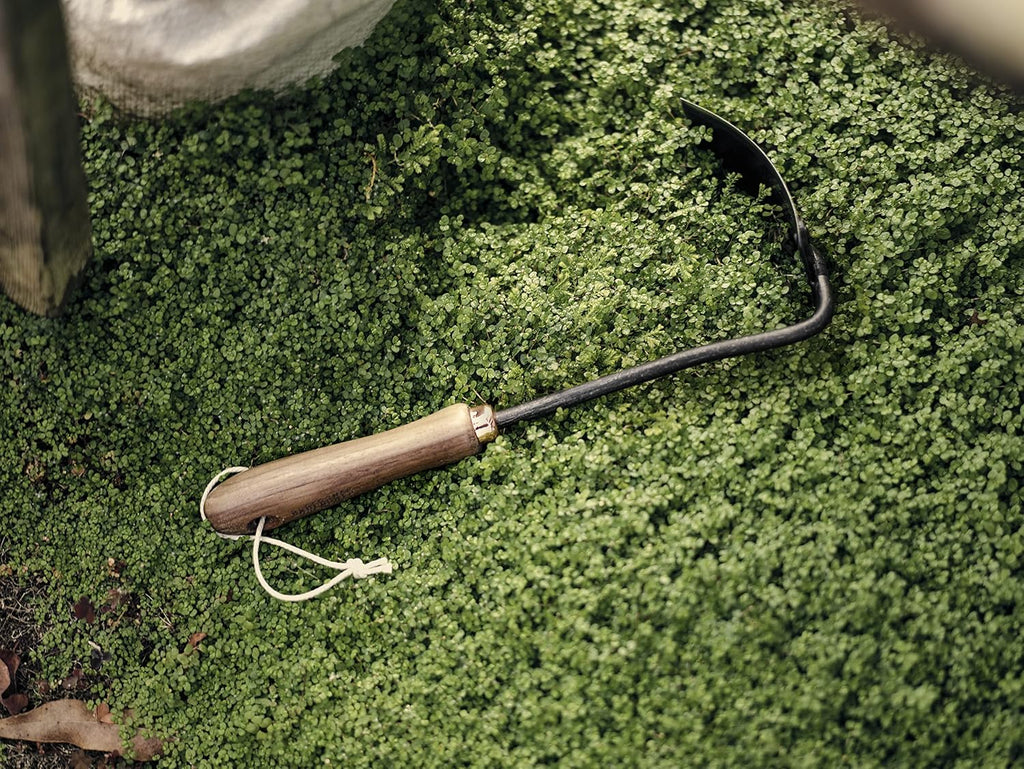 Barebones Square Hand Hoe - Garden Hoe for Weeding with a Long Handle - Japanese Gardening Tool, Sickle Garden Tool