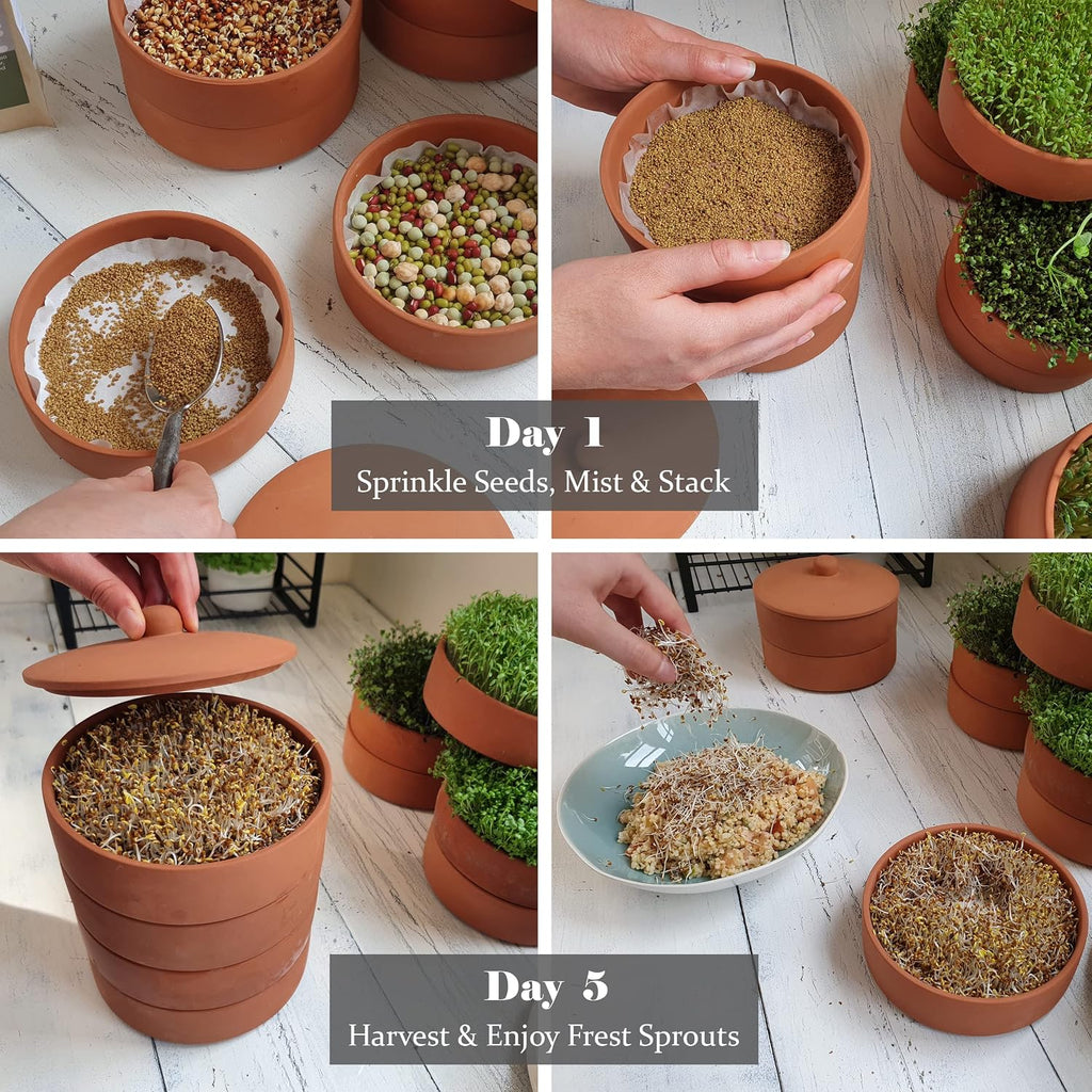 Clay Sprouter Kit | Terracotta Tower with 3 Shallow Germinating Trays, Paper Discs & Free E-Book | 2 in 1 Sprouting