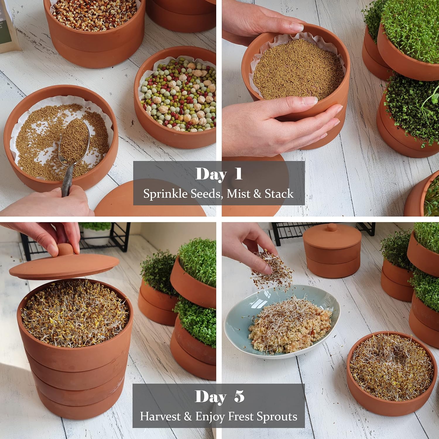 Clay Sprouter Kit | Terracotta Tower with 3 Shallow Germinating Trays, Paper Discs & Free E-Book | 2 in 1 Sprouting